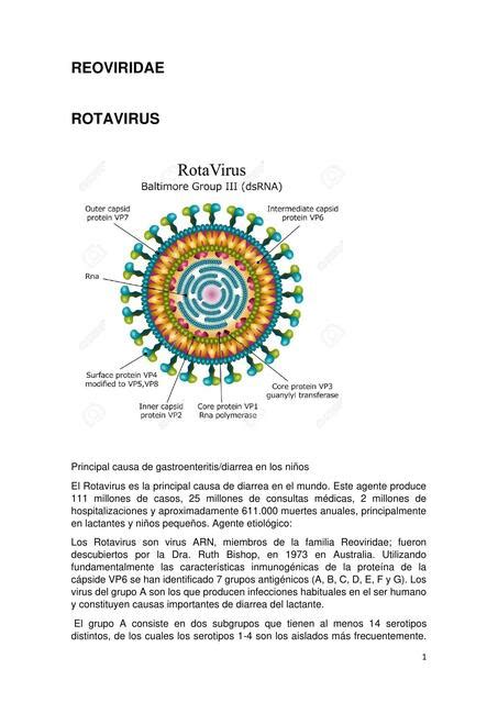 Rotavirus Edith Caceres Udocz