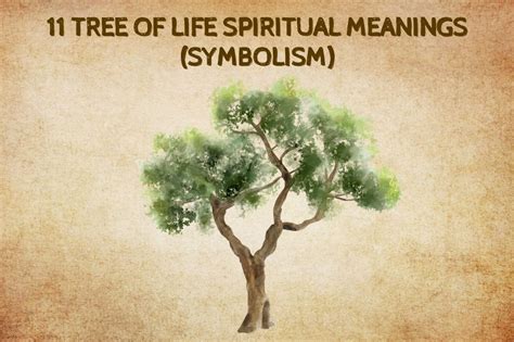 11 Tree Of Life Spiritual Meanings Symbolism