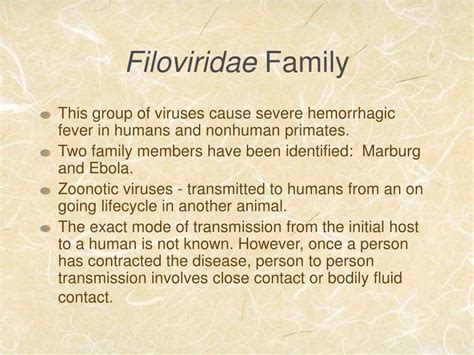 PPT - The Filoviridae Family PowerPoint Presentation, free download ...