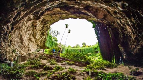 Umpherston Sinkhole Sunken Garden Is A Hidden Wonder | ellaslist