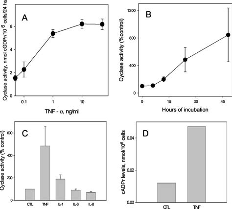 CD38 Cyclase Activity And CADPR Accumulation In Human Myometrial Cells