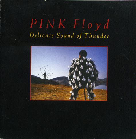 Pink Floyd Delicate Sound Of Thunder CD Discogs