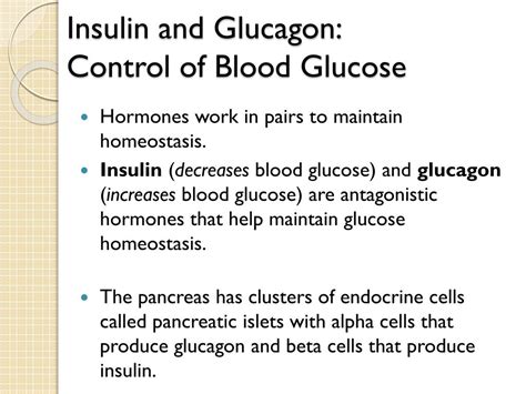 PPT Chp 45 Hormones The Endocrine System Review Chp 11 Cell