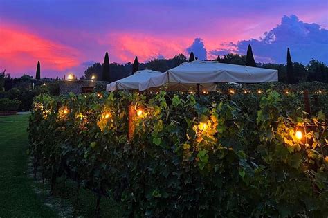 San Gimignano Almuerzo Rom Ntico En Un Vi Edo Getyourguide