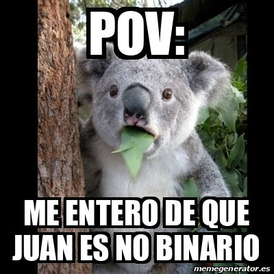 Meme Koala Pov Me Entero De Que Juan Es No Binario 33090223