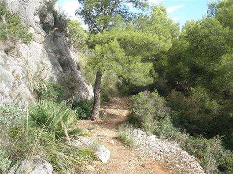 Franclips DE GARRAF A SITGES POR EL PARC NATURAL DEL GARRAF RUTA DE