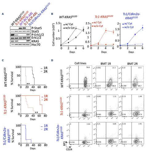 Efficacy of DYRK1A inhibitors in novel models of Down syndrome acute ... 