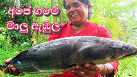 Big Fish Ambul Thiyal Curry Cooking Village Style Creamy Fish Curry