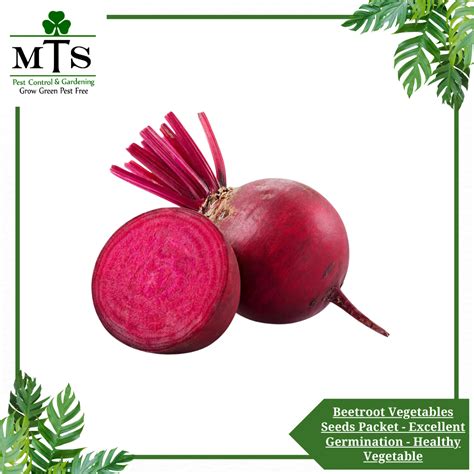 Vegetable Seeds Beetroot Chukandar Packet