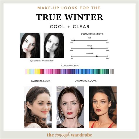 The True Winter Make Up Palette The Concept Wardrobe True Winter Color Palette True Winter