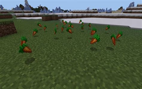 Minecraft automatic carrot farm guide