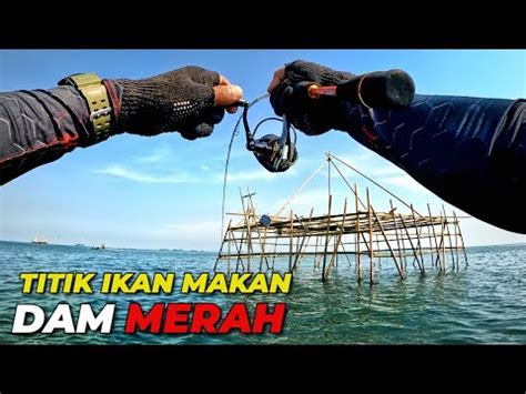 Joran Saya Melengkung Tajam Saat Umpan Turun Tepat Di Titik Sarang Ikan