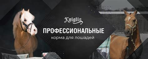 Профессиональный корм для лошадей Kviglis Ижевск | Добро пожаловать в ...