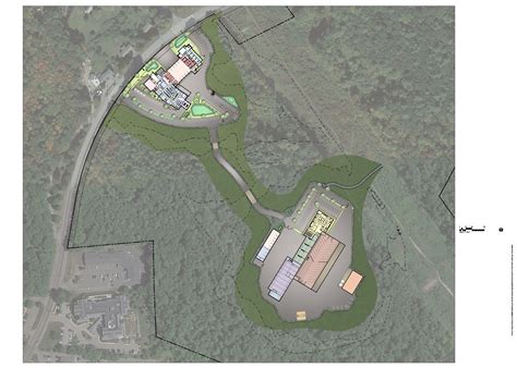 Public reaction to the Rose Easton interview has been overwhelming 4