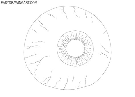 How to Draw an Eyeball - Easy Drawing Art