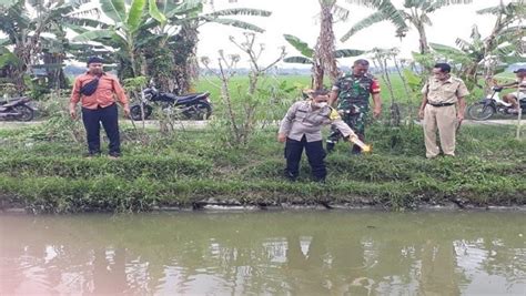 Geger Warga Sragen Ditemukan Tewas Di Kolam Ikan