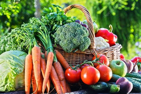 Variety Of Fresh Organic Vegetables And Fruits In The Garden Stock