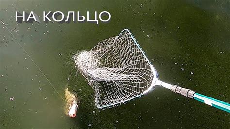 БОРТОВАЯ УДОЧКА Ловля леща на кольцо река Волга - YouTube