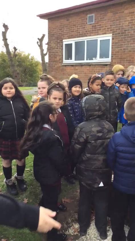 Woodgate Primary on Twitter: "Year 4 celebrated Armistice Day by ...