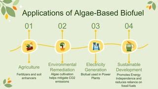 Biofuel The clean Energy from Algae.pptx