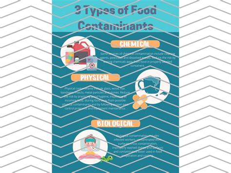 Three Types Of Food Contaminants Safety Poster Food Safe Etsy