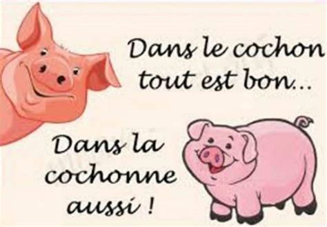 Dans Le Cochon Tout Est Bon Humour France Fr