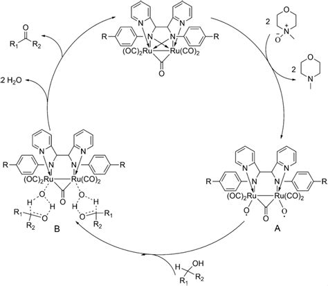 A proposed mechanism for secondary alcohol oxidation catalyzed by ...