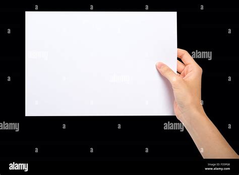 Hand Holding A Blank Sheet Of Paper Stock Photo Alamy