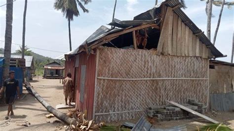 Satu Rumah Warga Di Reo Manggarai Tertimpa Pohon Tumbang Akibat Hujan