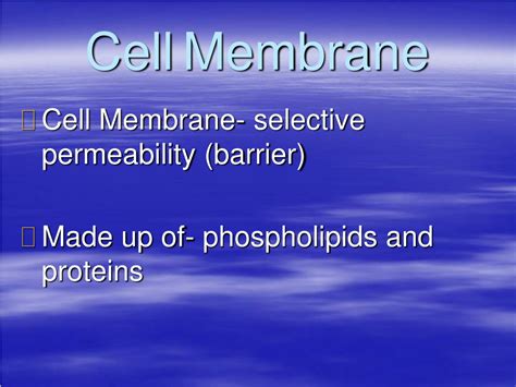 Ppt Cell Structure Function And Macromolecules Powerpoint