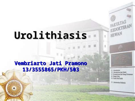 PPT Urolithiasis P Turun DOKUMEN TIPS