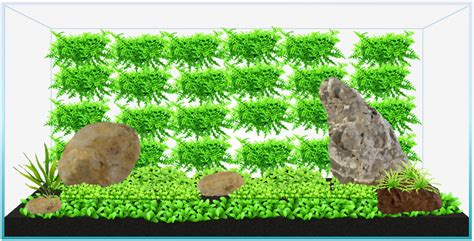 Neues Aquarium Planen Seite 2 Flowgrow