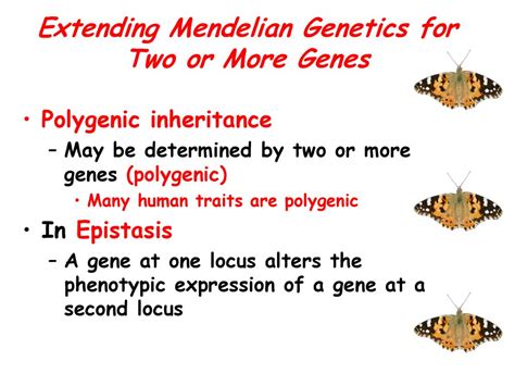 Mendel And The Gene Idea Ppt Download