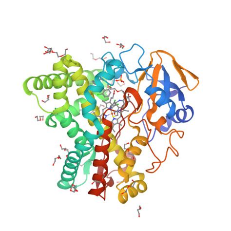 RCSB PDB 4UBS The Crystal Structure Of Cytochrome P450 105D7 From