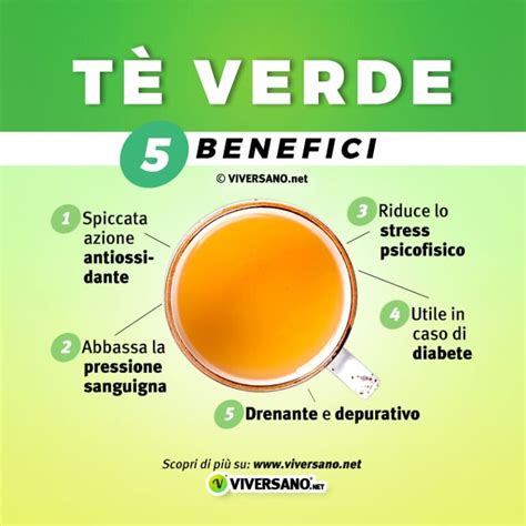 Tè verde proprietà benefici controindicazioni e tipologie migliori