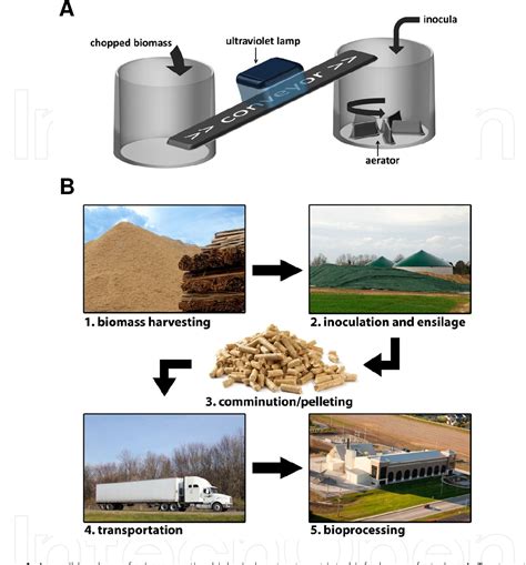 Figure 1 From Pretreatment Of Lignocellulosic Biomass Using Microorganisms Approaches