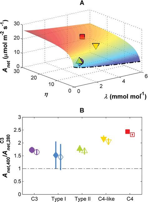 A Modelled Relationships Between Net CO2 Assimilation Rate A Net