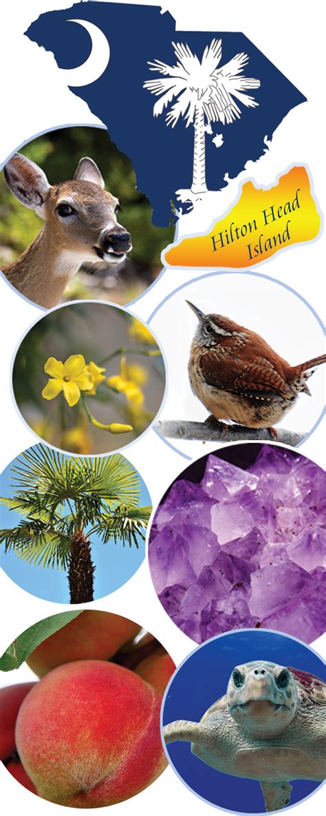 South Carolina became the eighth state to ratify the U.S. Constitution, on