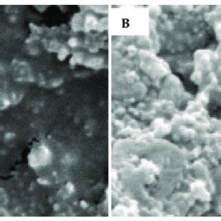 Fesem Surface Images Of A A Bare Carbon Electrode And B A Carbon