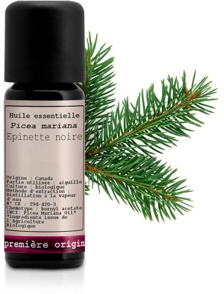 Acheter Huile Essentielle Epinette Noire Bio Picea Mariana Du Canada