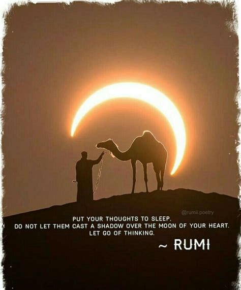 Pin By Bushra Rauf On Maulana Jalaluddin Rumi Quotes Rumi Quotes Soul