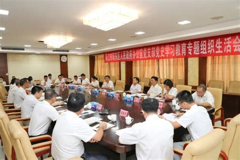 【学思践悟】阳东区府办党支部召开党史学习教育专题组织生活会