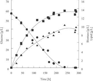 Kinetics Of Tl L G L Glucose S G L And Biomass X G L