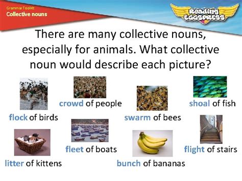 Grammar Toolkit Collective nouns What are collective nouns