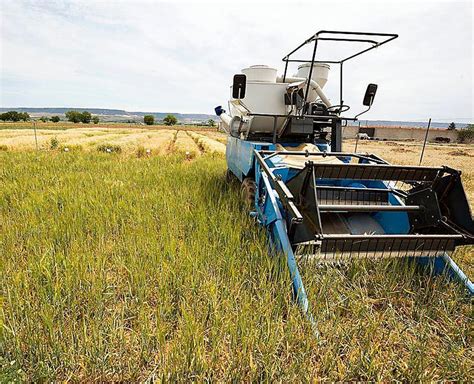 Agricultura Abona 62M Por Las Ayudas De Superficie Noticias Diario De