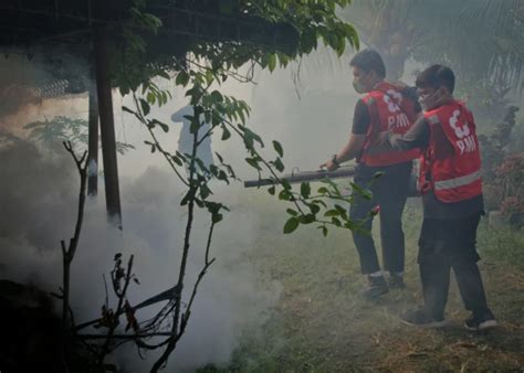 Foto Pengasapan Cegah DBD Di Pemukiman Warga