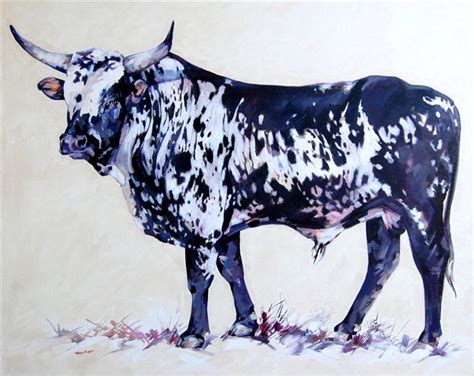 Nguni Cattle Artofit