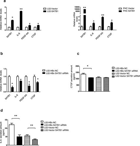 Satb Participates In Hbx Mediated Fibrogenesis By Modulation Of Il