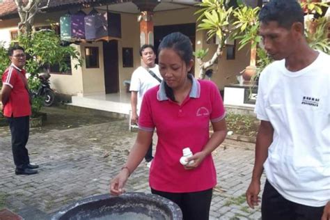 DBD Merebak Masyarakat Gianyar Diminta Waspadai Peningkatan Kasus