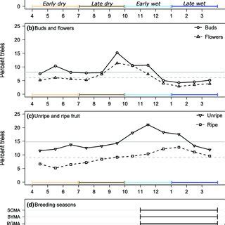 Fruiting phenology and psittacine breeding seasons at Tambopata ...